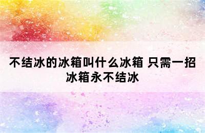 不结冰的冰箱叫什么冰箱 只需一招冰箱永不结冰